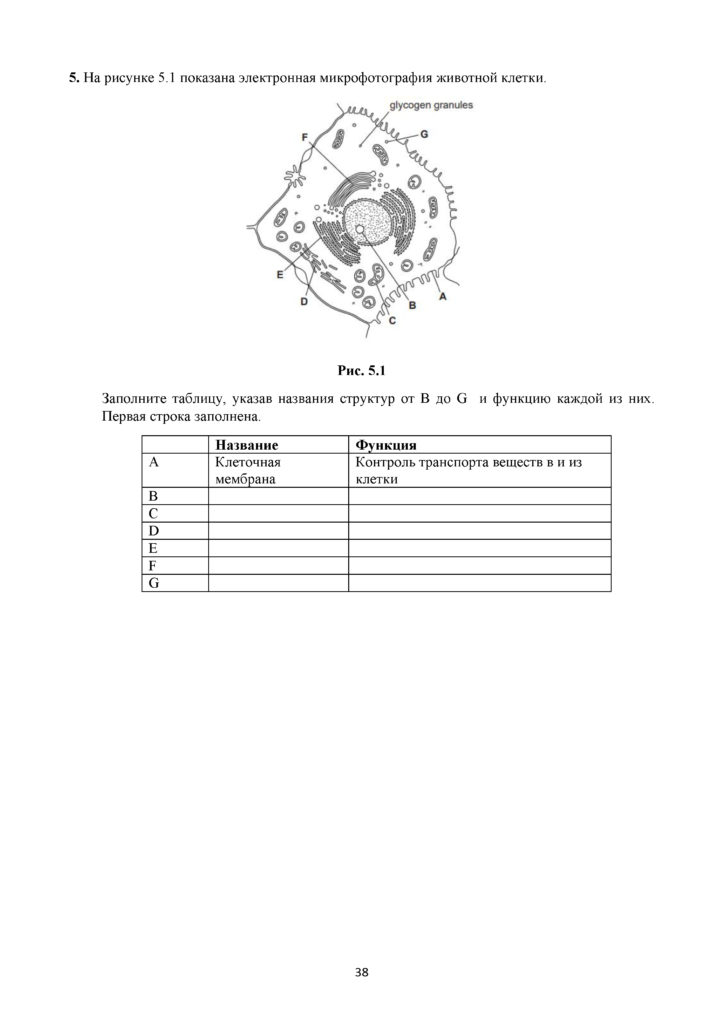 SOR_Biologia_11_EMN_rus(37)