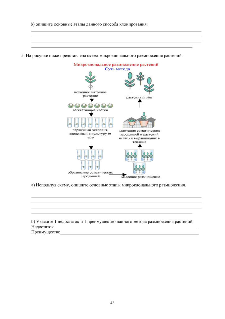 SOR_Biologia_11_EMN_rus(42)