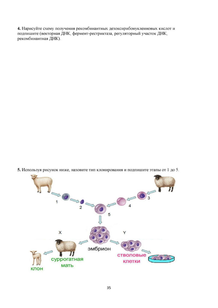 SOR_Biologia_11_OGN_rus(34)