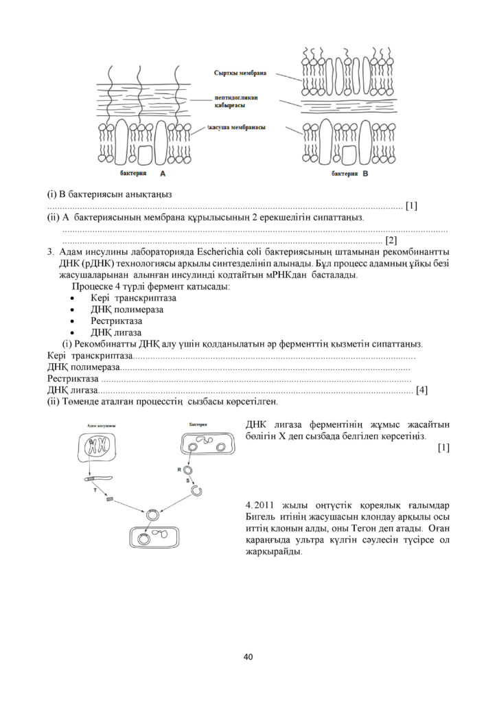 СОР_Биология_11_ЕМН_каз(39)