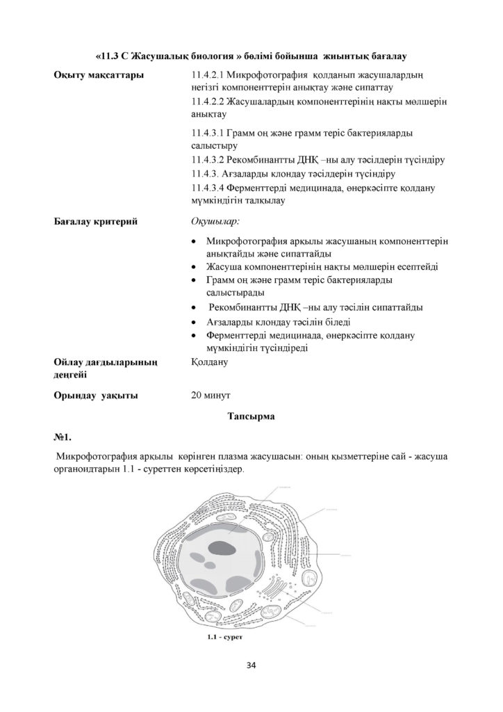 СОР_Биология_11_ОГН_каз(33)
