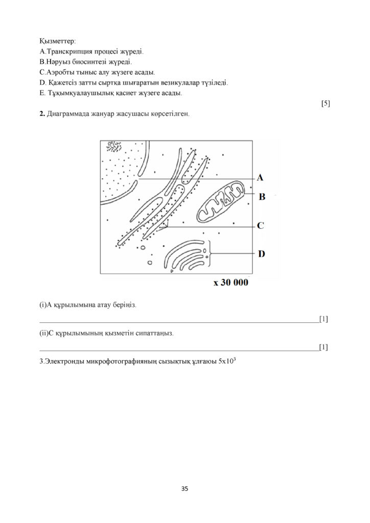 СОР_Биология_11_ОГН_каз(34)