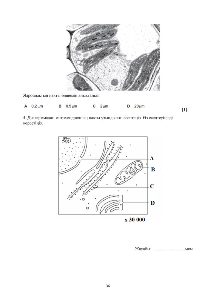 СОР_Биология_11_ОГН_каз(35)
