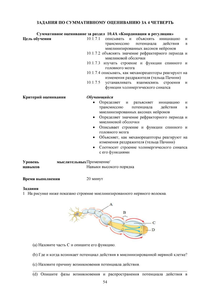 OSh_SOR_Biologia_EMN_10_klass_rus_docx_2(53)