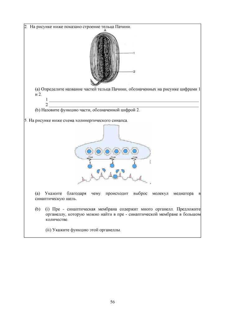 OSh_SOR_Biologia_EMN_10_klass_rus_docx_2(55)
