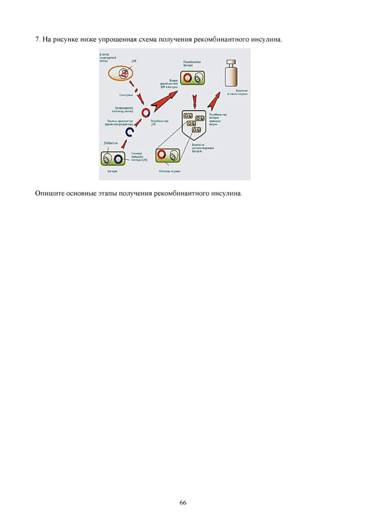OSh_SOR_Biologia_EMN_10_klass_rus_docx_2(65)