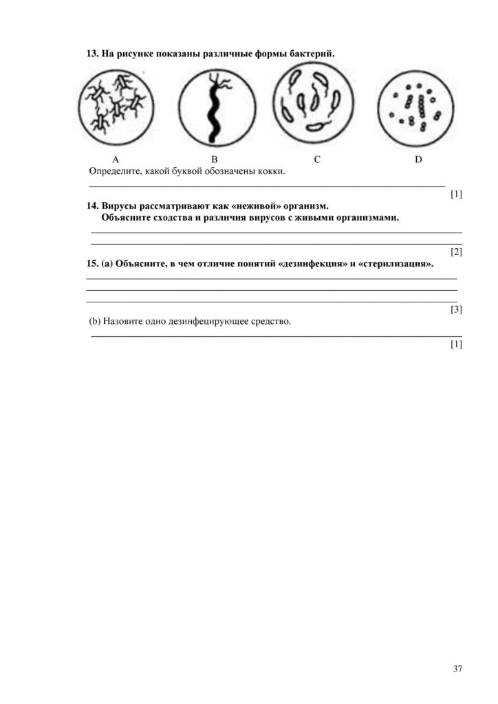SOCh_Biologia_7kl_rus_V2-page-037
