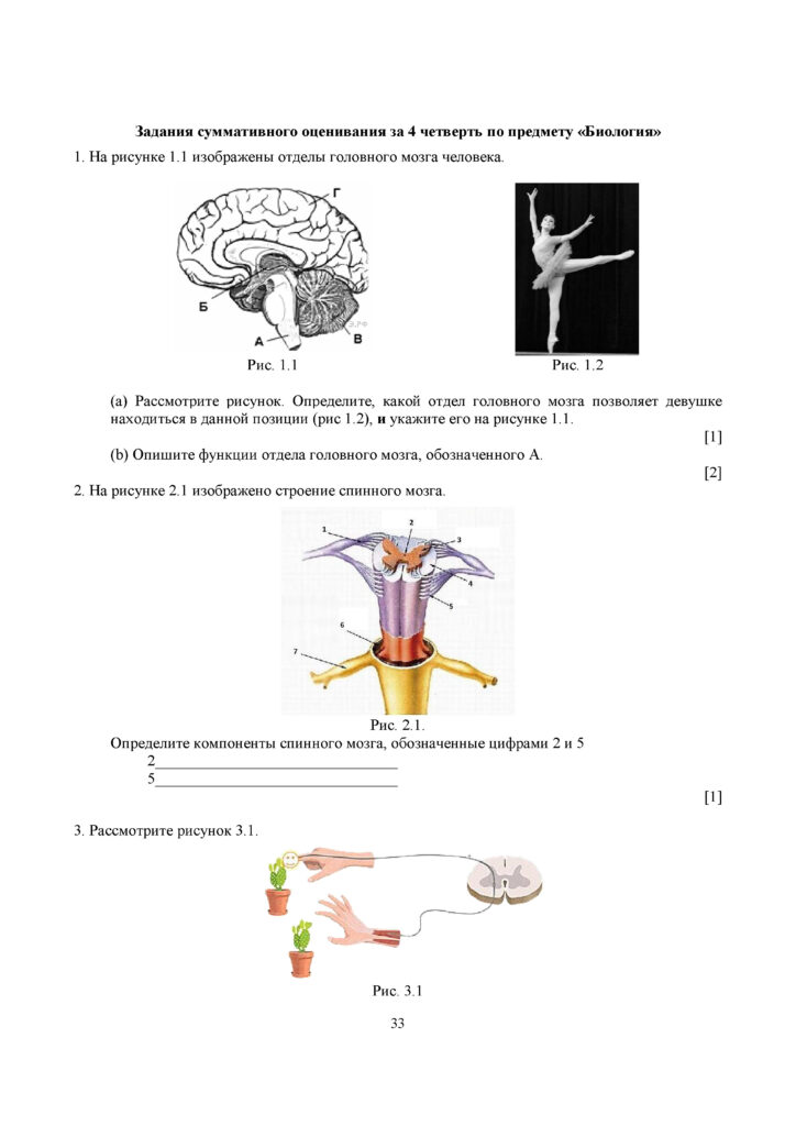 SOCh_Biologia_OGN_10_klass_rus(32)