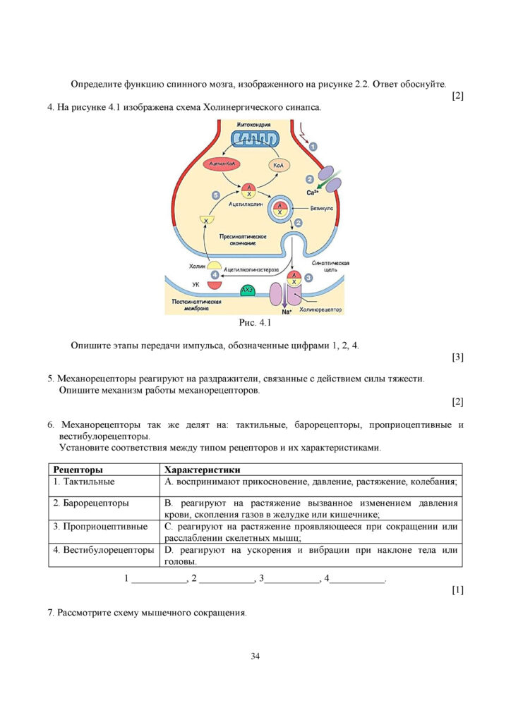 SOCh_Biologia_OGN_10_klass_rus(33)