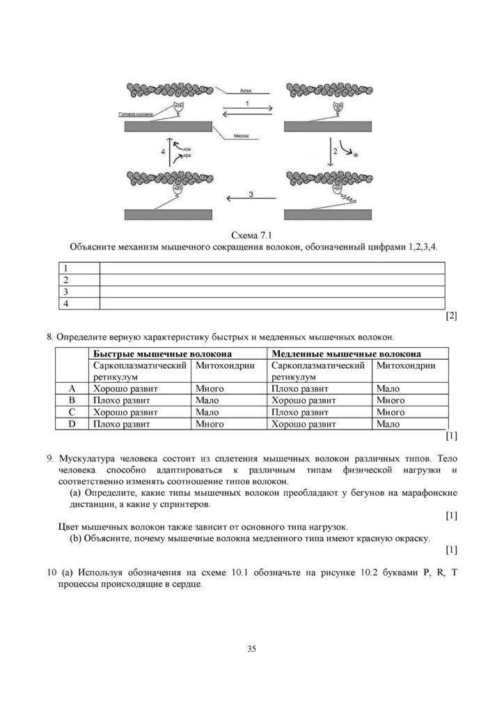 SOCh_Biologia_OGN_10_klass_rus(34)