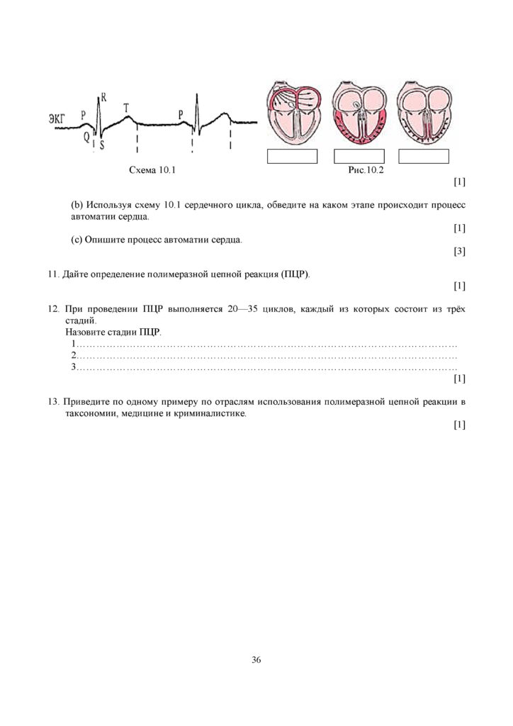 SOCh_Biologia_OGN_10_klass_rus(35)
