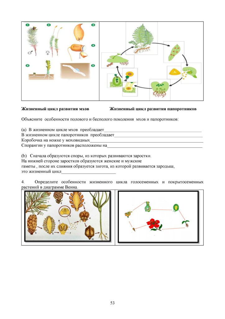 SOR_Biologia_8kl_rus(52)