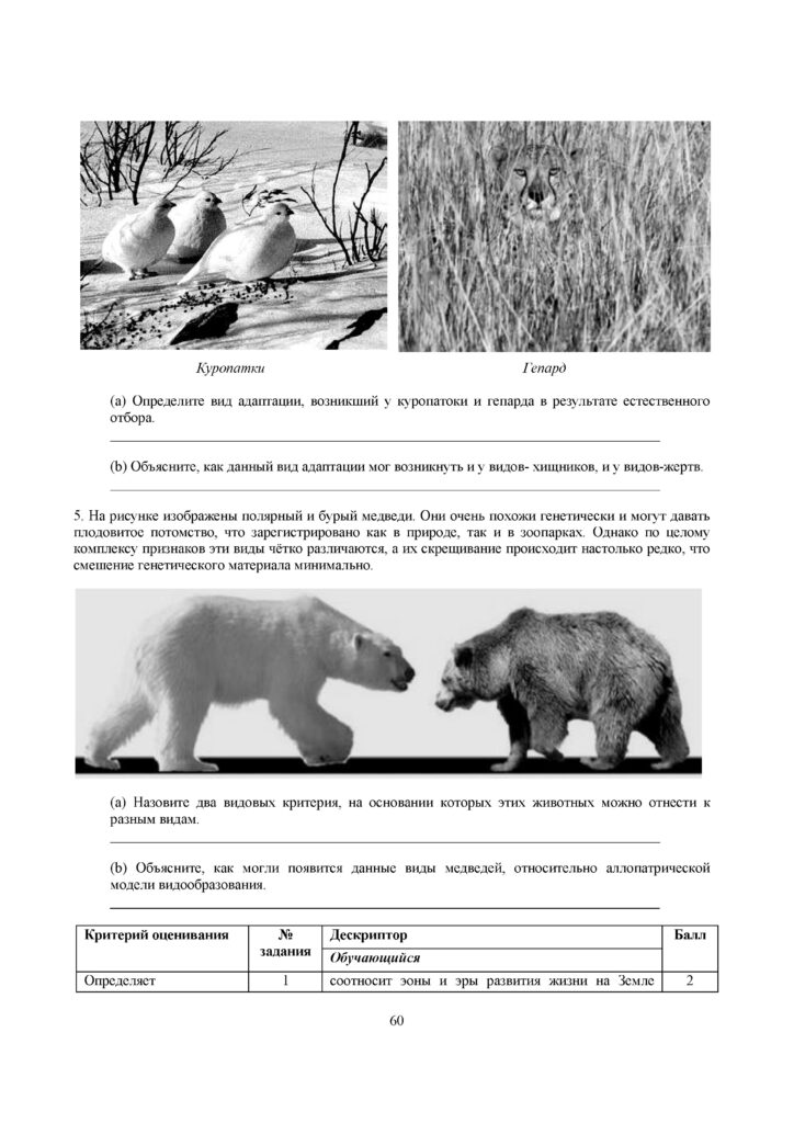 SOR_Biologia_9klass(59)