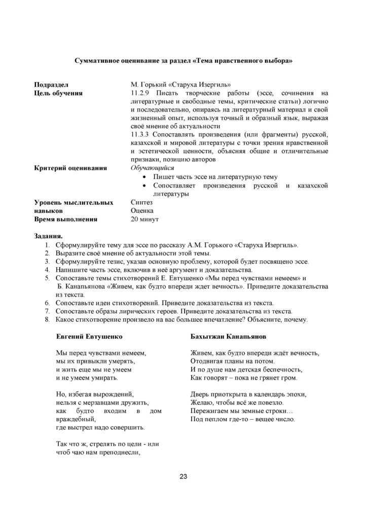 SOR_Russkaya_literatura_OGN_11_klass(22)