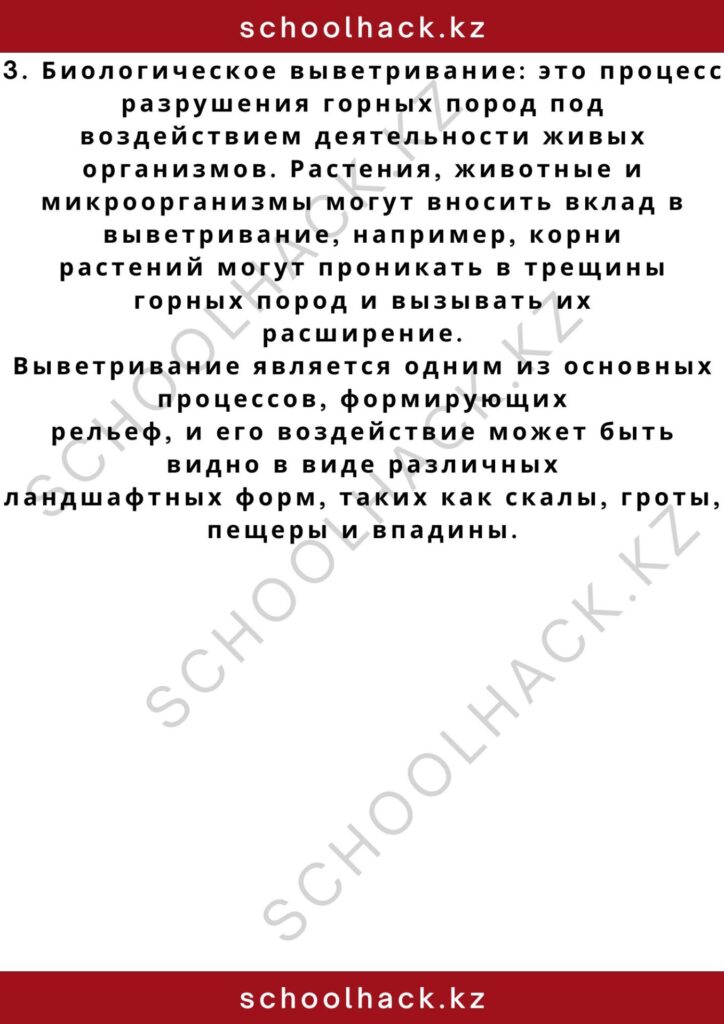 schoolhack.kz_2 – 2024-11-02T173035.310