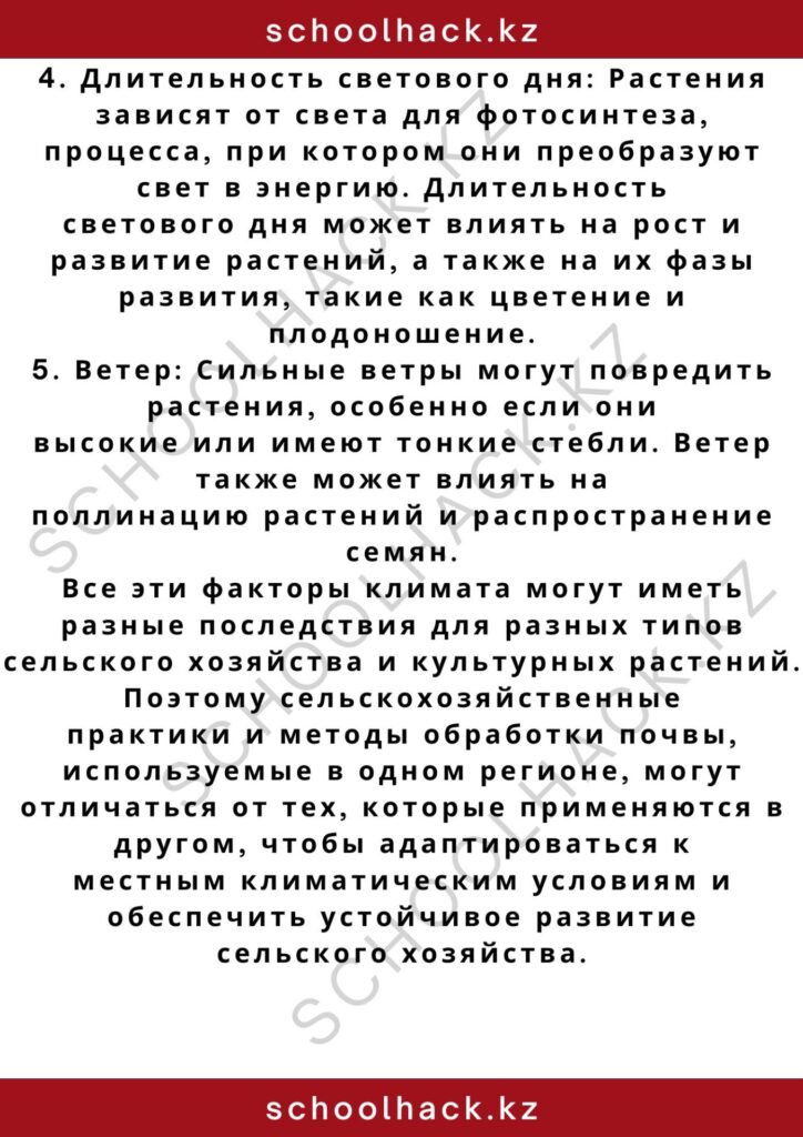 schoolhack.kz_2 – 2024-11-02T201632.691