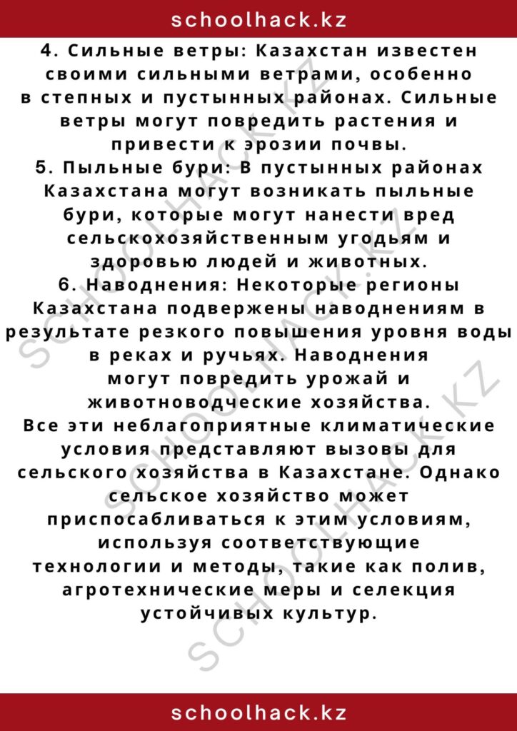 schoolhack.kz_2 – 2024-11-02T201851.955