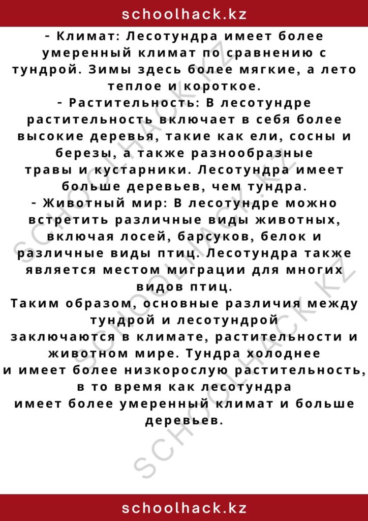 schoolhack.kz_2 – 2024-11-03T231932.129
