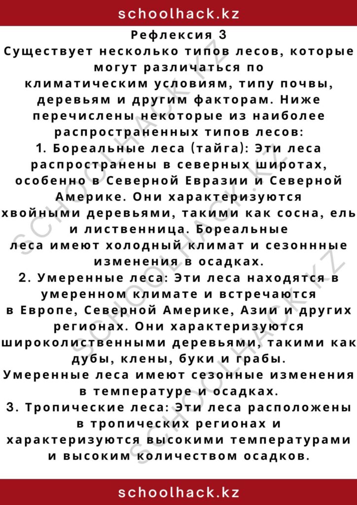 schoolhack.kz_2 – 2024-11-03T232032.399