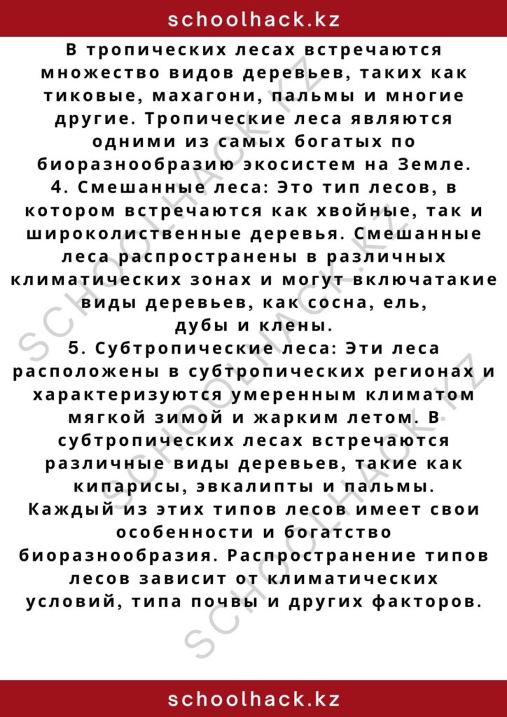 schoolhack.kz_2 – 2024-11-03T232054.542