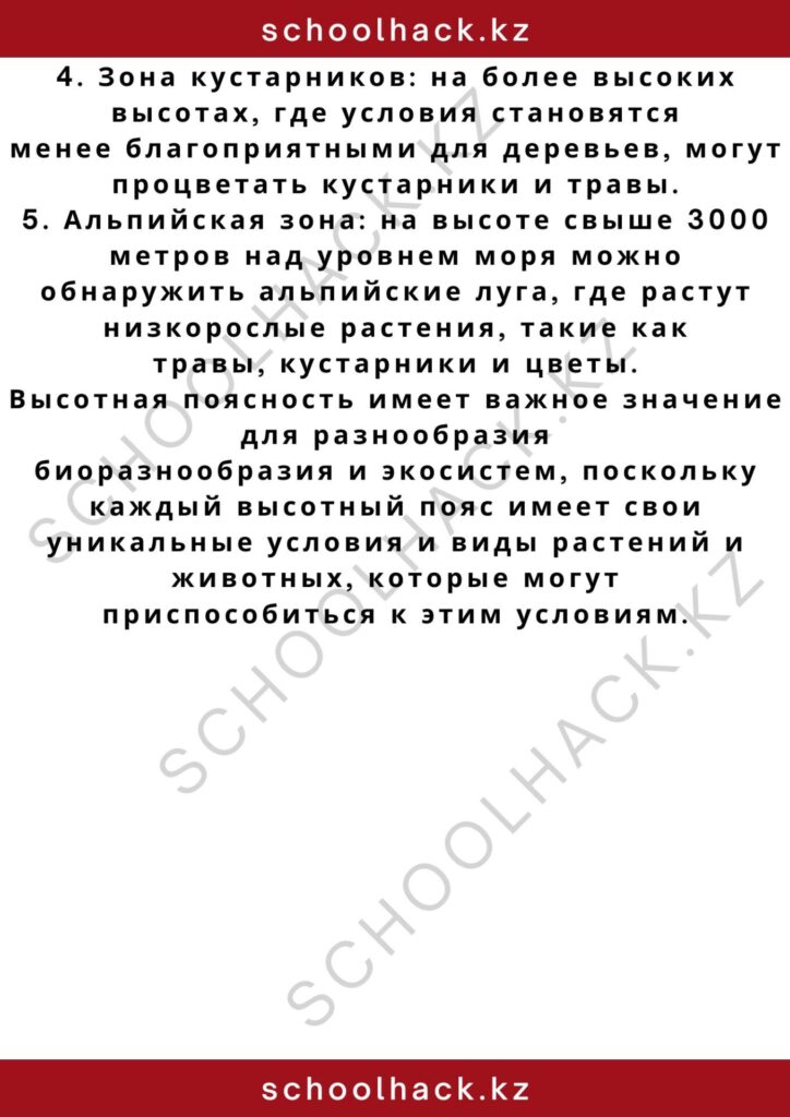 schoolhack.kz_2 – 2024-11-03T232320.417