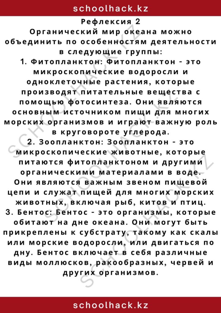 schoolhack.kz_2 – 2024-11-04T164908.359