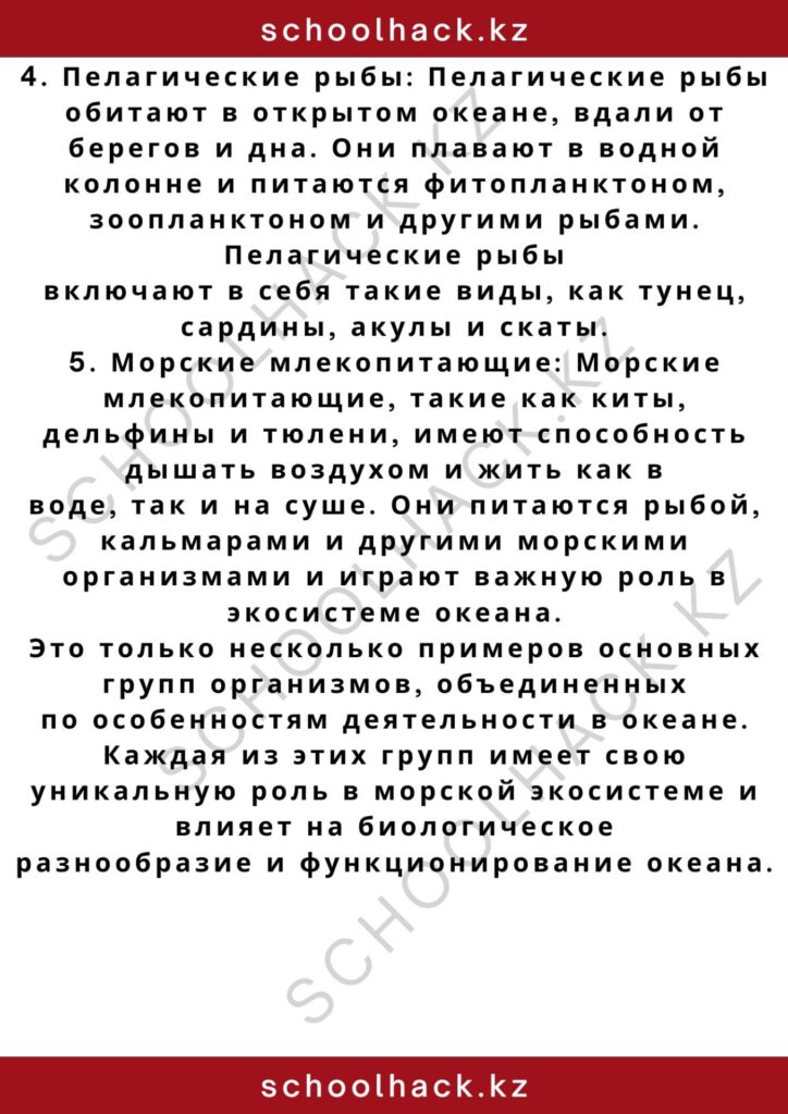 schoolhack.kz_2 – 2024-11-04T164927.589