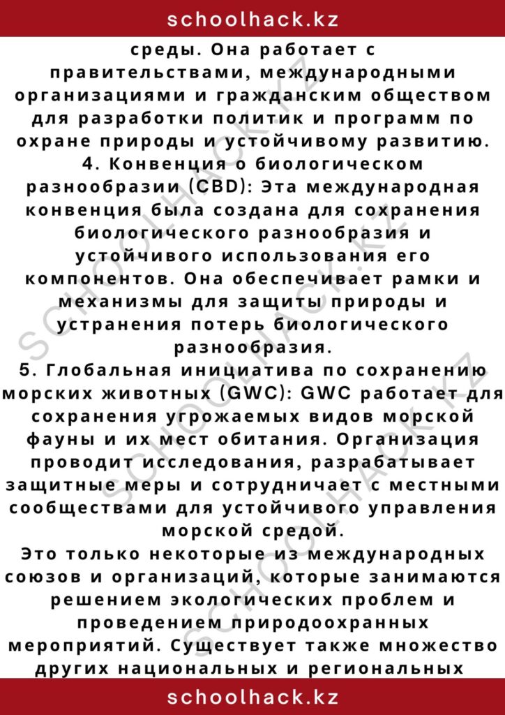 schoolhack.kz_2 – 2024-11-04T165921.304
