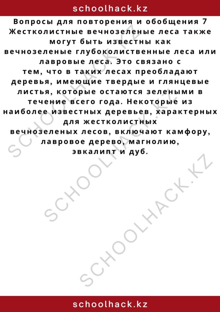 schoolhack.kz_2 – 2024-11-04T171850.185