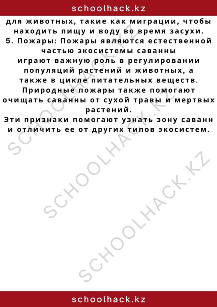 schoolhack.kz_2 – 2024-11-04T172650.849