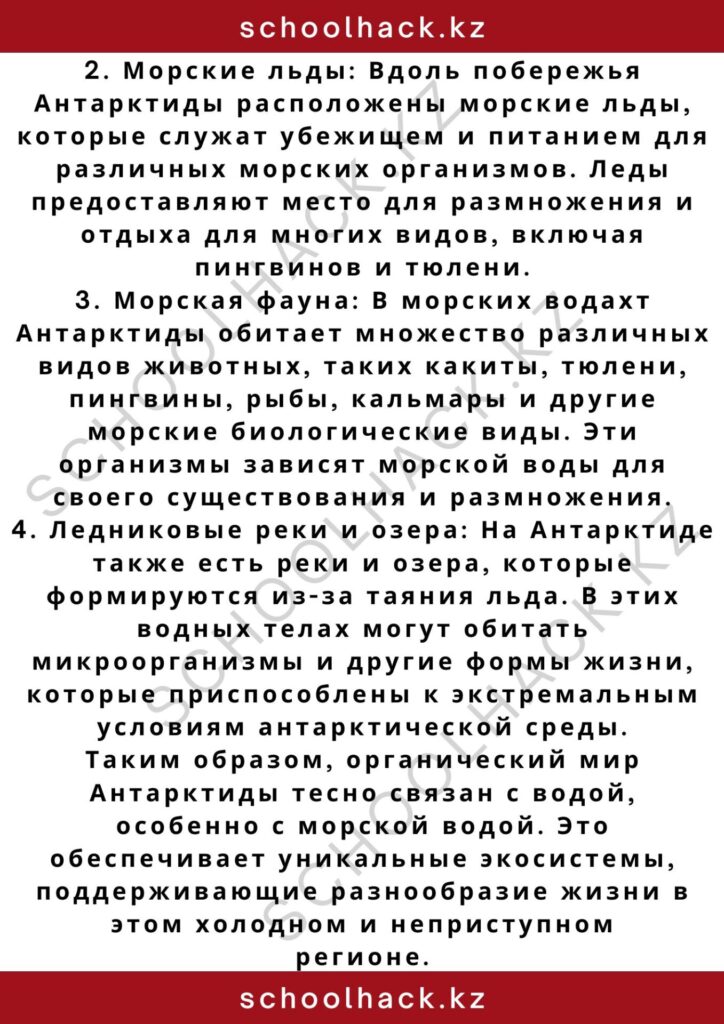 schoolhack.kz_2 – 2024-11-04T191008.592