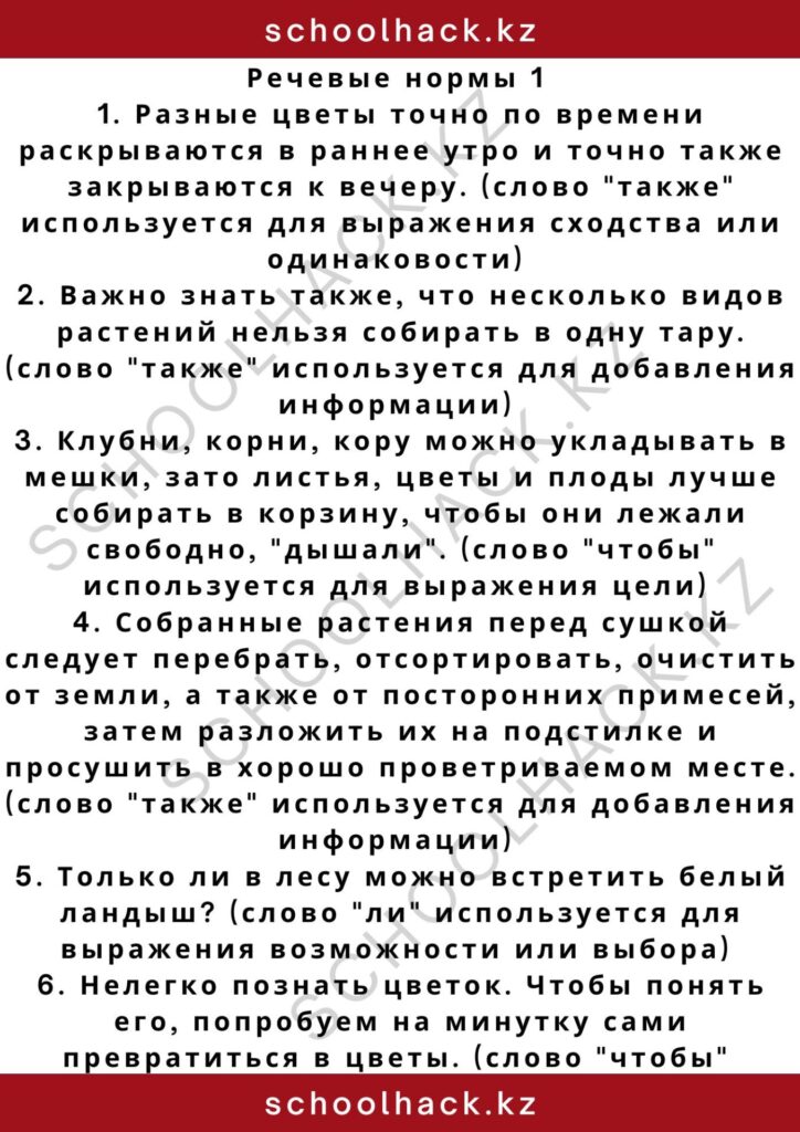 schoolhack.kz_2 – 2024-11-11T181023.813