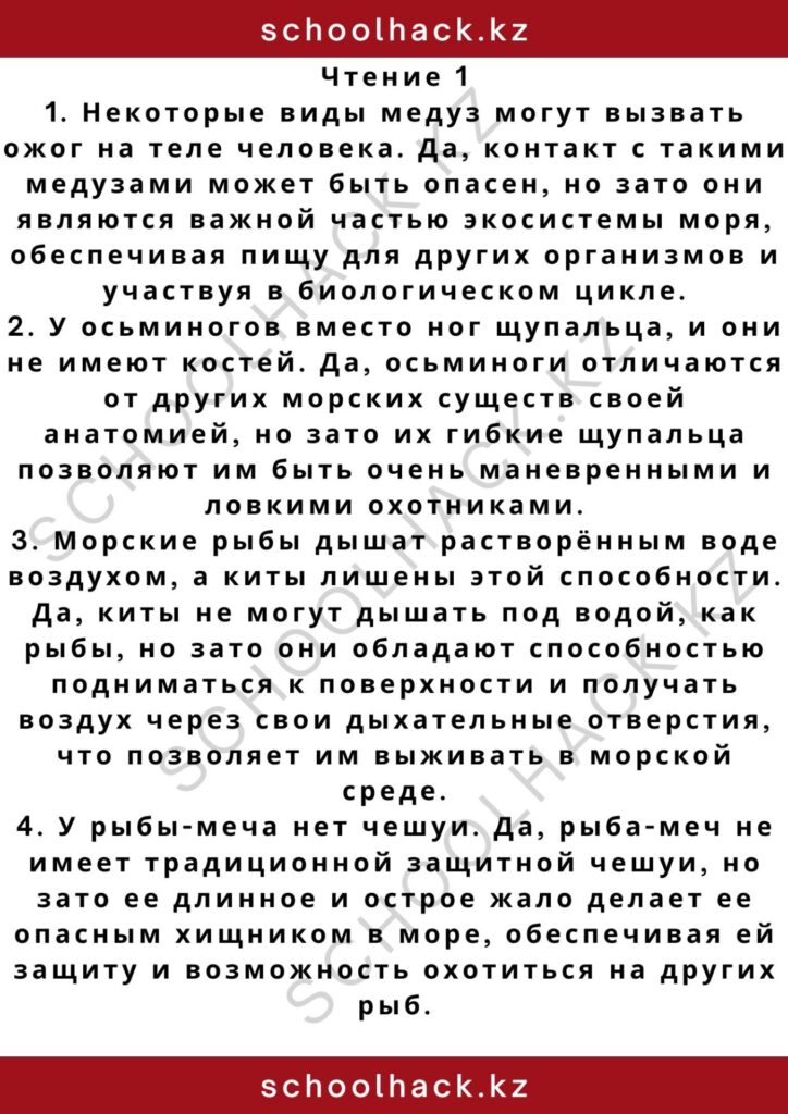 schoolhack.kz_2 – 2024-11-11T182908.932