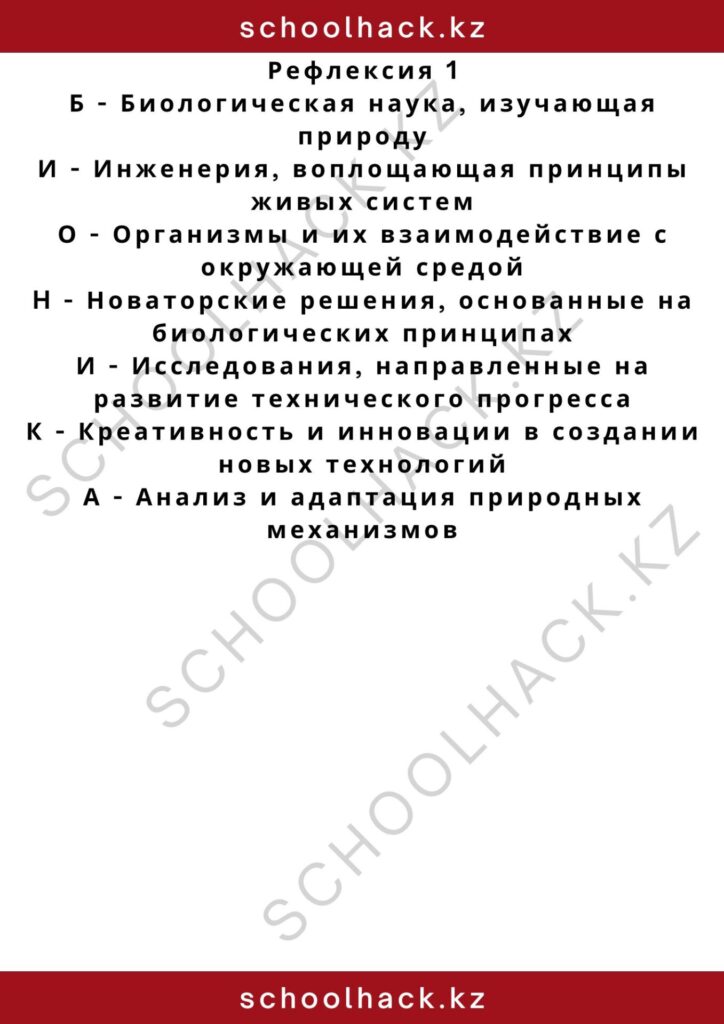 schoolhack.kz_2 – 2024-11-13T013208.054