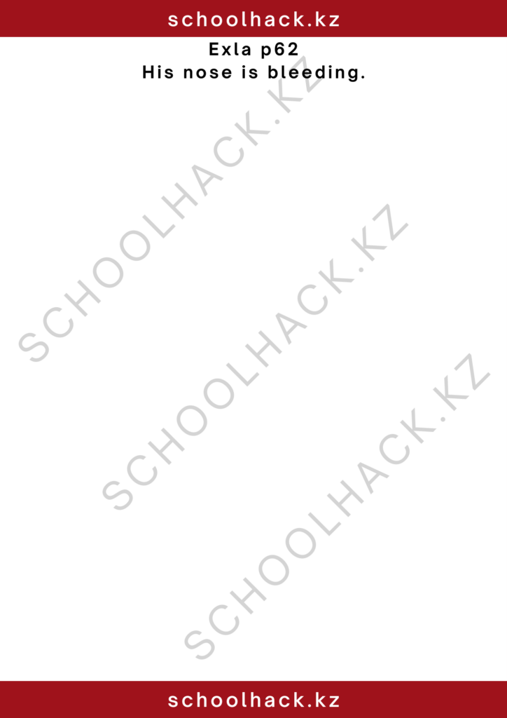 schoolhack.kz_2 – 2024-11-13T230359.250
