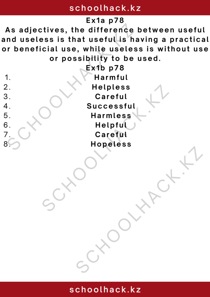 schoolhack.kz_2 – 2024-11-13T233605.799