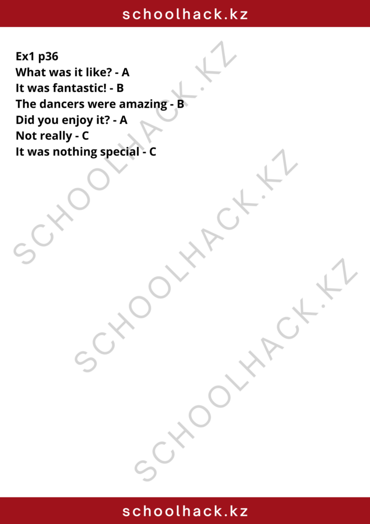 schoolhack.kz_8 (10)