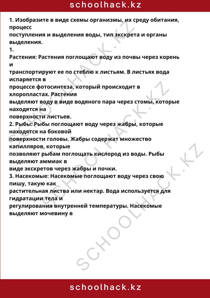 schoolhack.kz_8 (12)