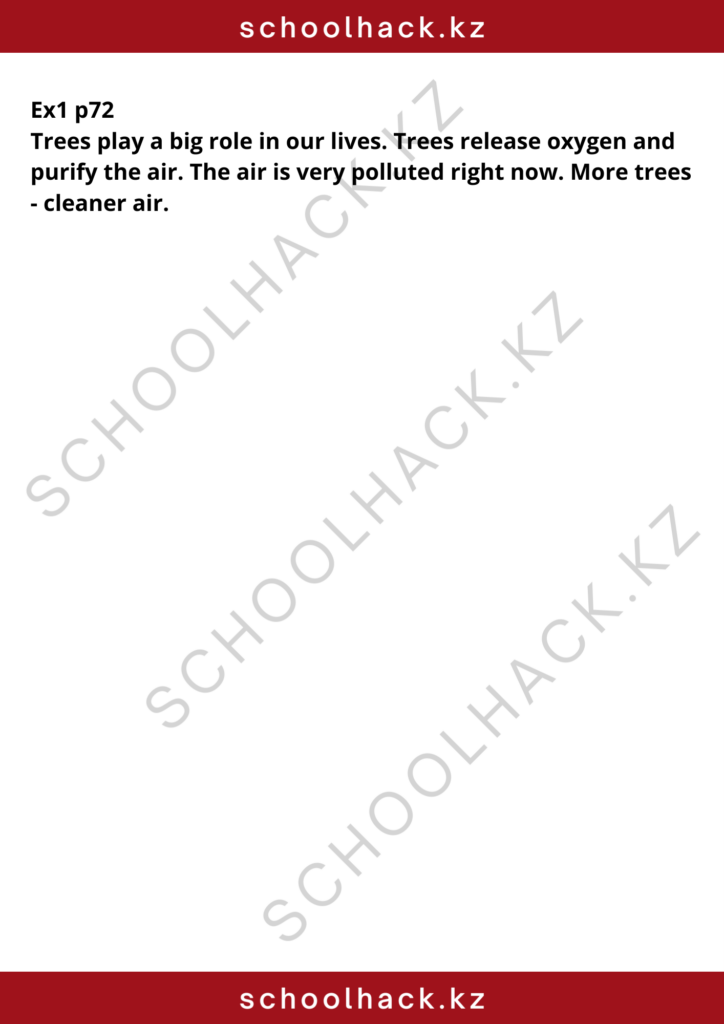 schoolhack.kz_8