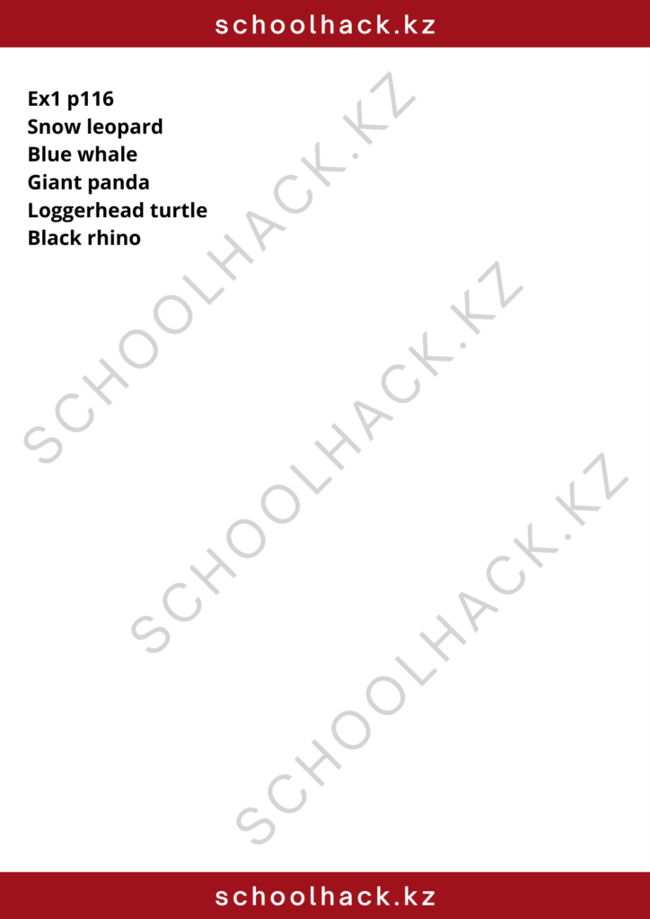 schoolhack.kz_8
