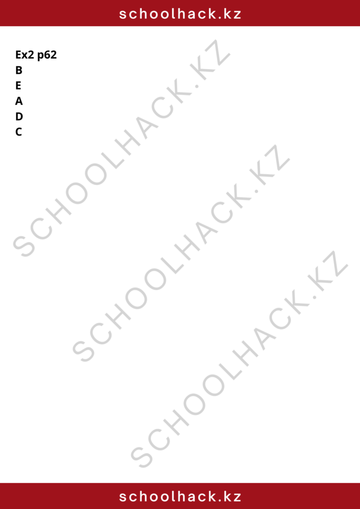 schoolhack.kz_8 (13)