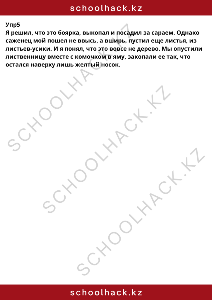 schoolhack.kz_8 (17)
