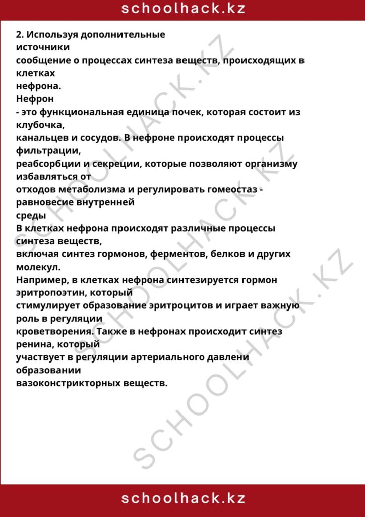 schoolhack.kz_8 (17)