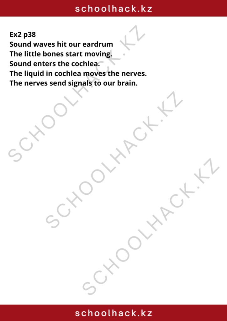 schoolhack.kz_8 (18)