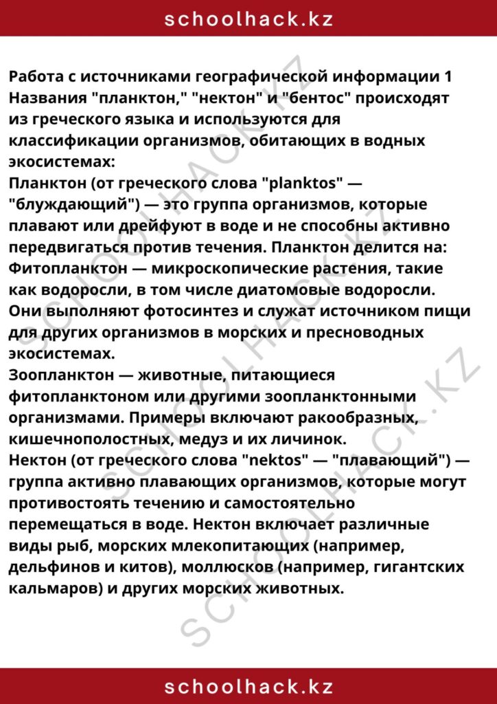 schoolhack.kz_8 (19)
