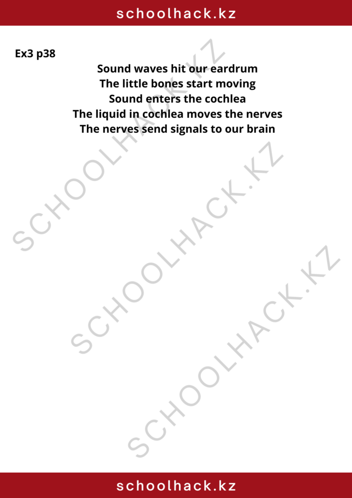 schoolhack.kz_8 (19)