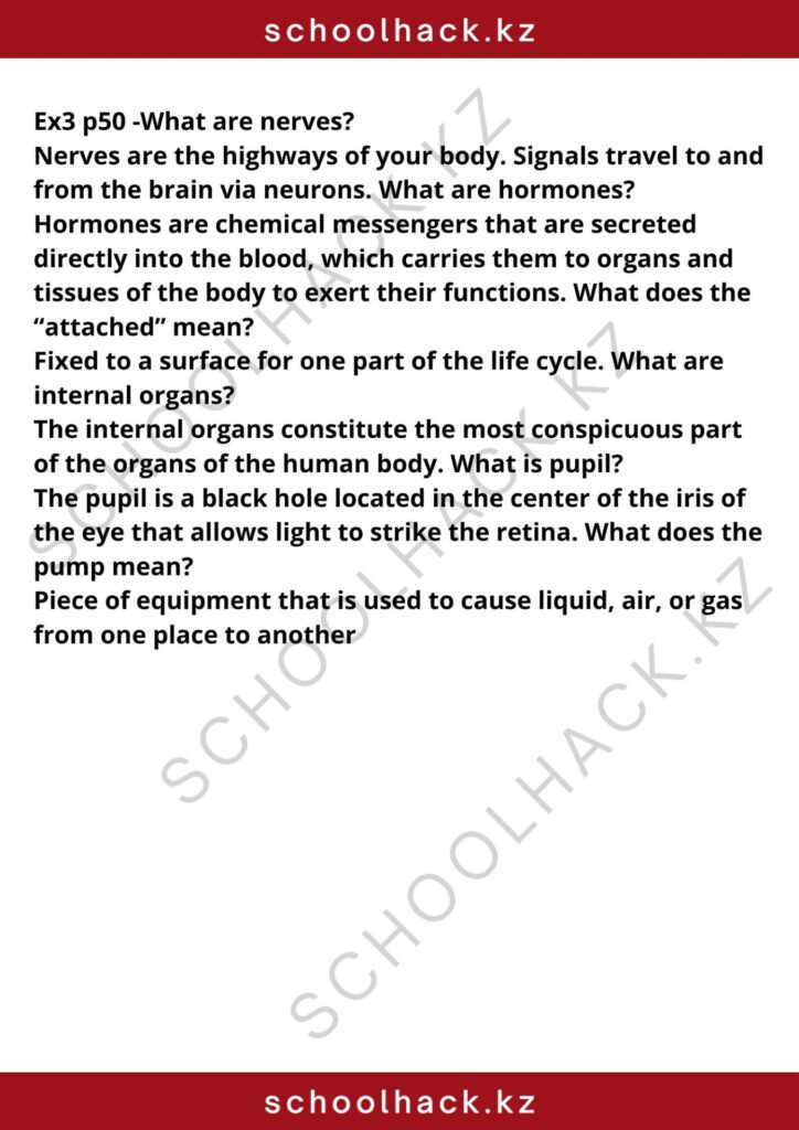 schoolhack.kz_8 (2)