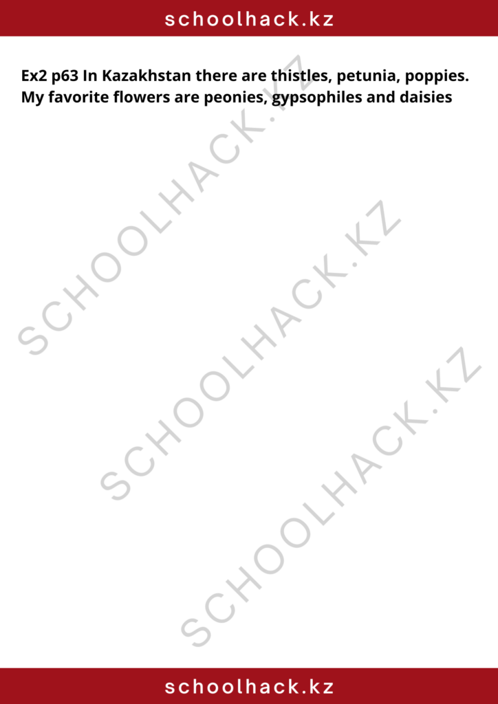 schoolhack.kz_8 (2)