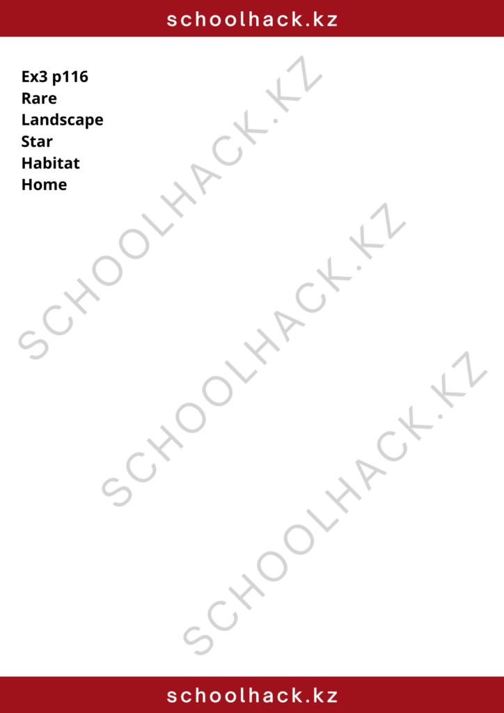 schoolhack.kz_8 (2)