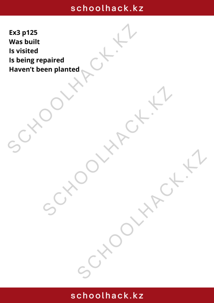 schoolhack.kz_8 (2)